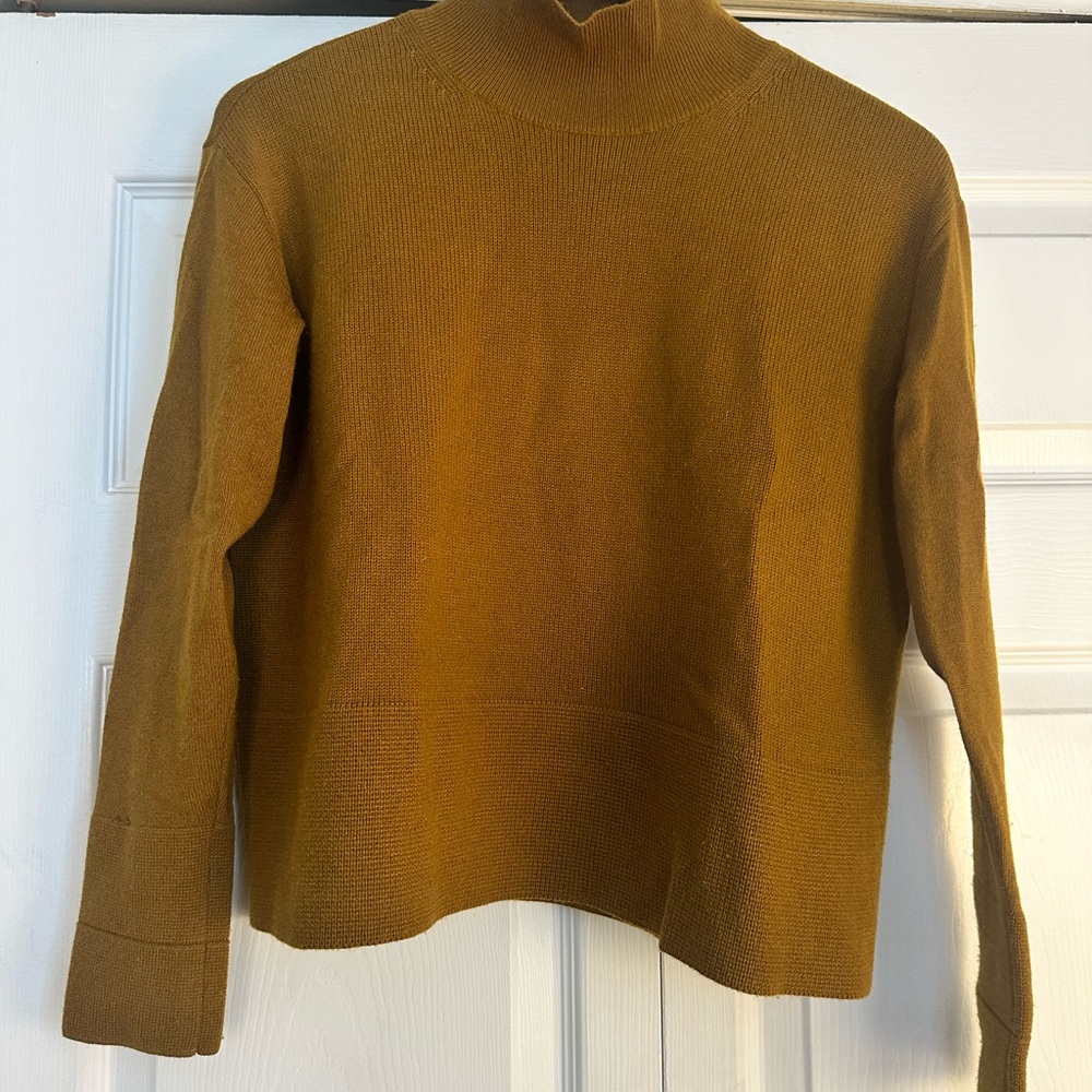 Everlane Cashmere Mockneck Sweater